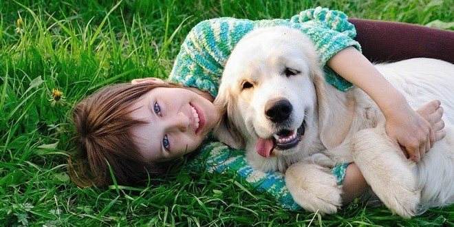 аллергия на собак у ребенка