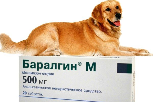 Баралгин – анальгетик, котрый можно применять собакам