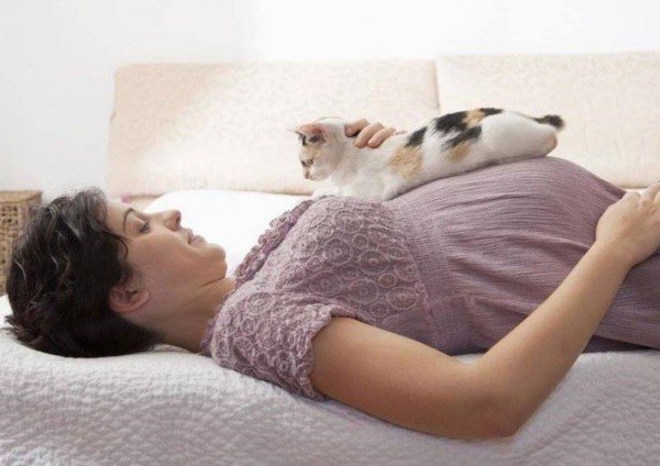 Беременная женщина с кошкой на животе
