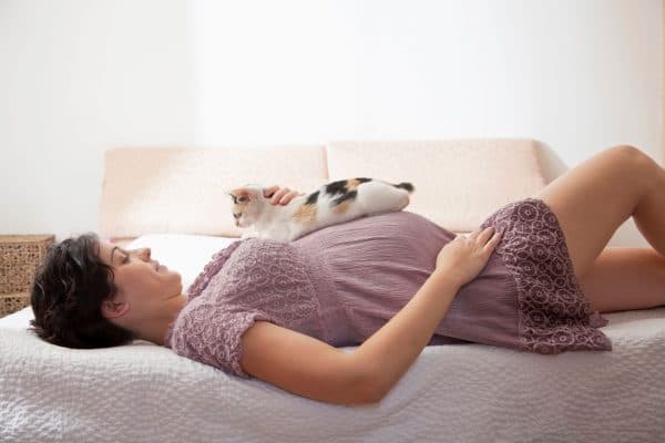 Беременным нельзя гладить котов