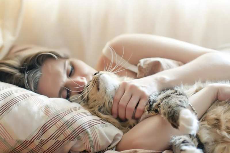 девушка обнимает совего кота в постели