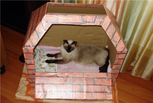 Домик для беременной кошки можно сделать из любой подходящей коробки