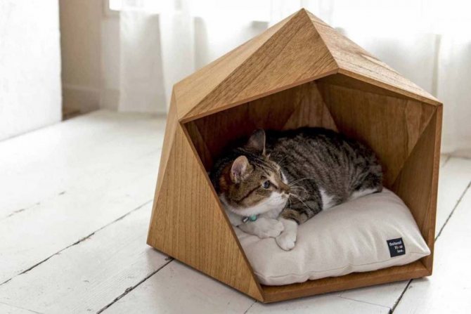 Домик для кошки из картона фото