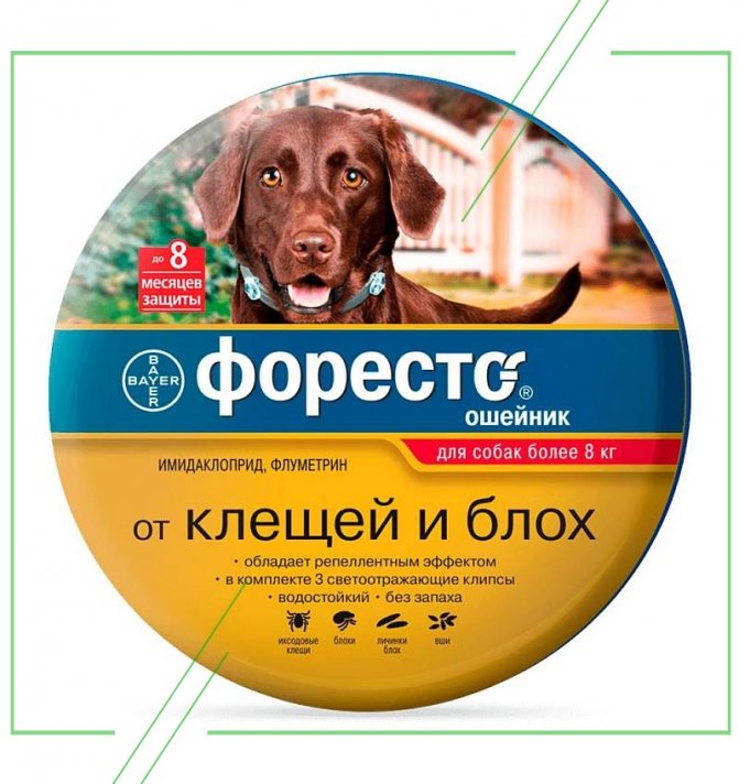 Форесто (Bayer) для собак_result