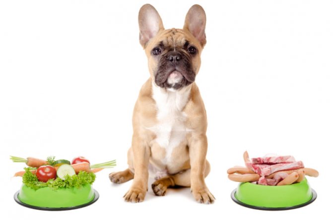 гипоаллергенная диета для собак