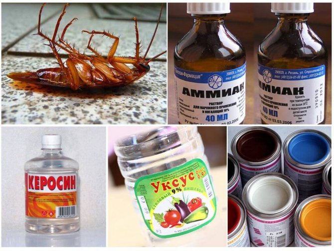 Химические средства против насекомых
