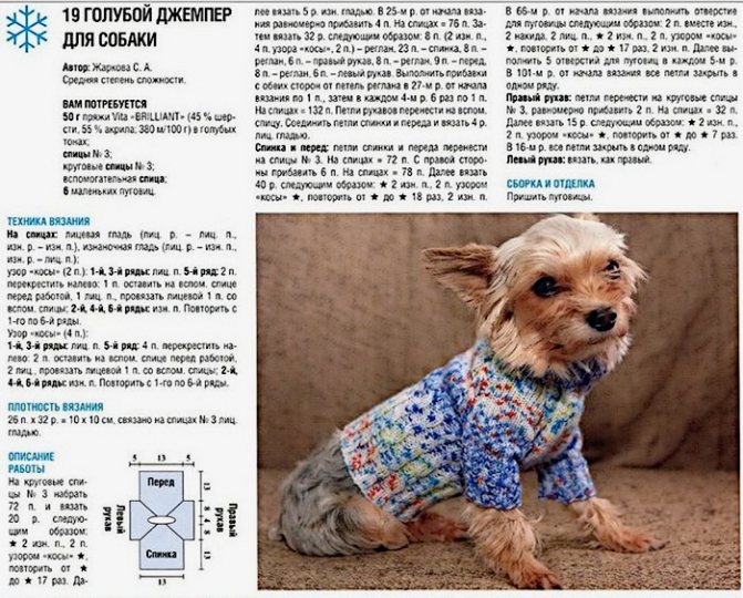 Идея вязаного свитера для собаки