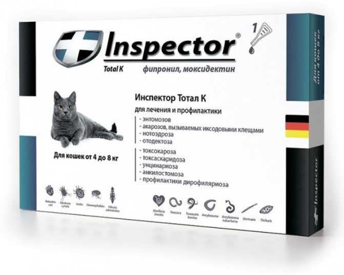 инспектор для кошек
