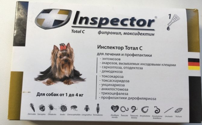 Инспектор