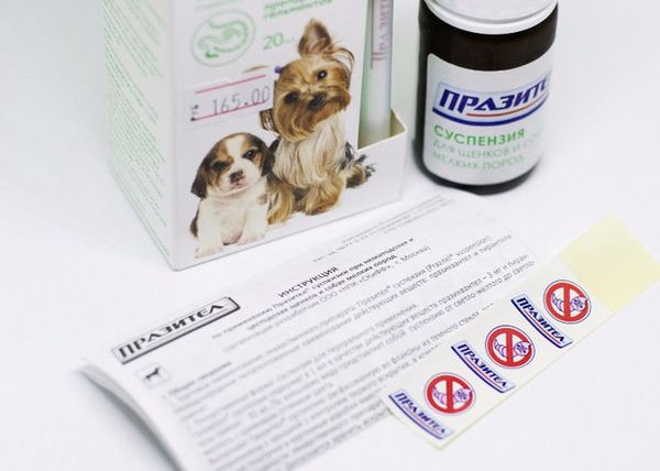 Инструкция к суспензии и таблеткам Паразител для собак