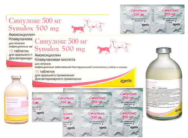 Инструкция по применению антибиотика Синулокс для собак - состав, дозировка, побочные эффекты, аналоги и цена