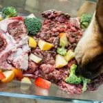 измените рацион питания собаки осенью