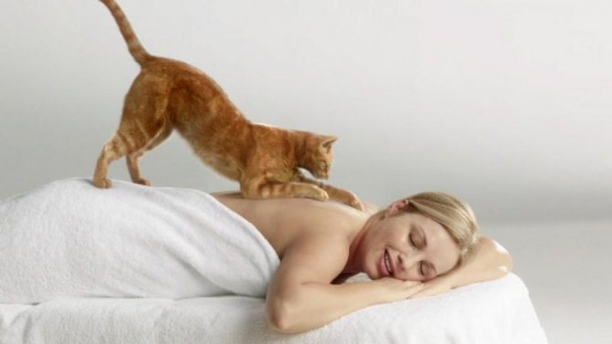 Как кошки проявляют любовь? 10 доказательств того, что ваш кот ОЧЕНЬ любит вас