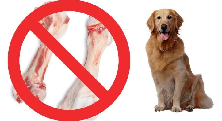 Кости, запрещенные собакам