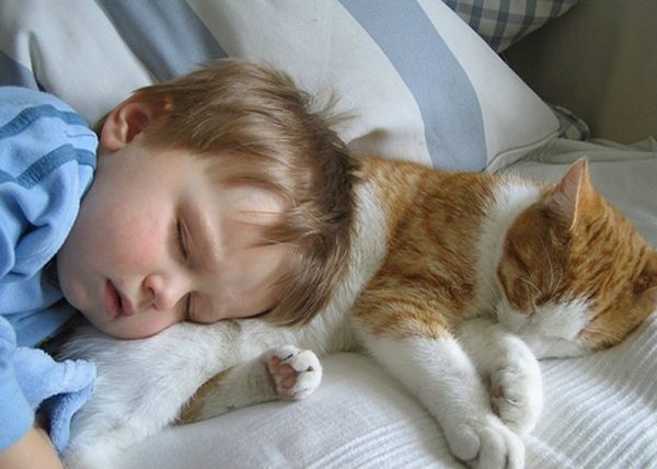 Котик спит рядом с ребёнком