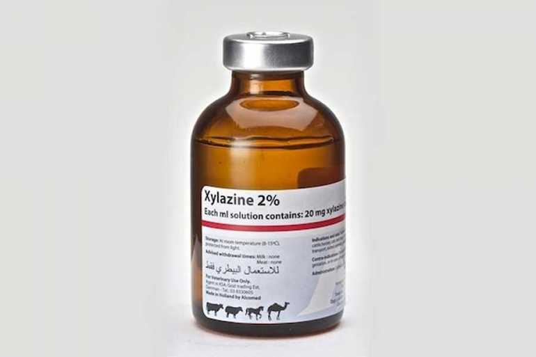 «Ксилазин» препарат
