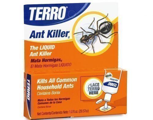 Методы борьбы с муравьями