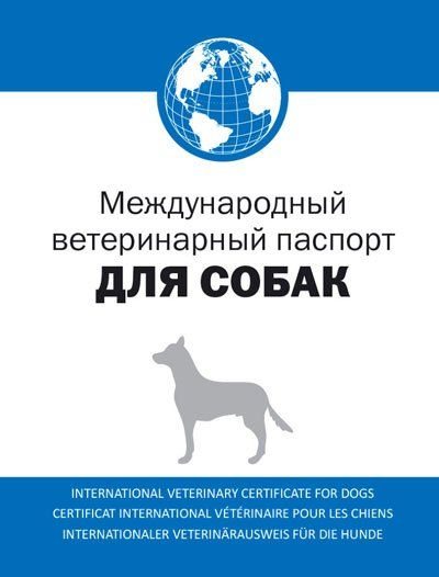 Международный ветеринарный паспорт для собаки