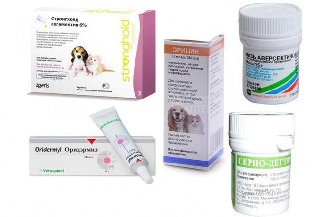 Препараты для лечения отодектоза у собак