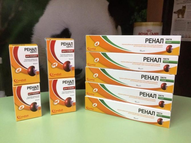 Ренал Эдвансед для кошек - купить с доставкой по Москве, цена препарата Ренал Адванс для кошки в магазине Gomeovet