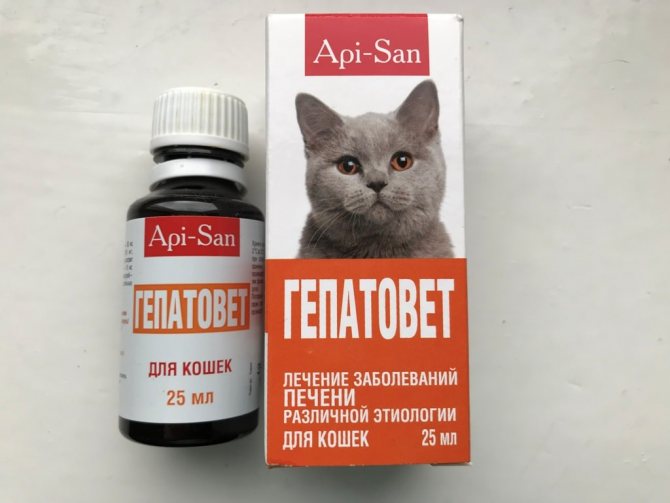 Состав препарата Гепатовет для кошки: способ применения гепатопротекторов