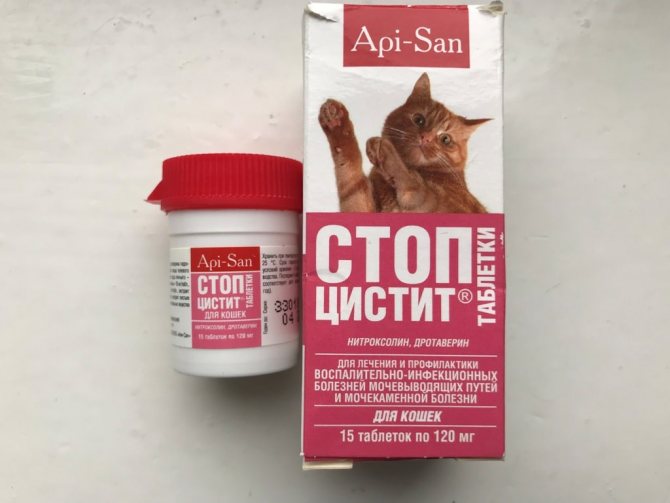 Стоп цистит таблетки для кошек инструкция