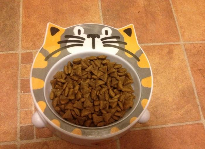 сухой корм для кошки
