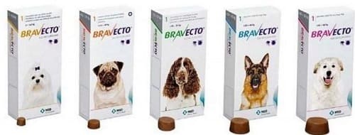 Таблетки Бравекто для лечения запущенного демодекоза собак