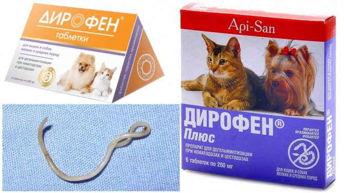 Таблетки Дирофен от глистов для кошек
