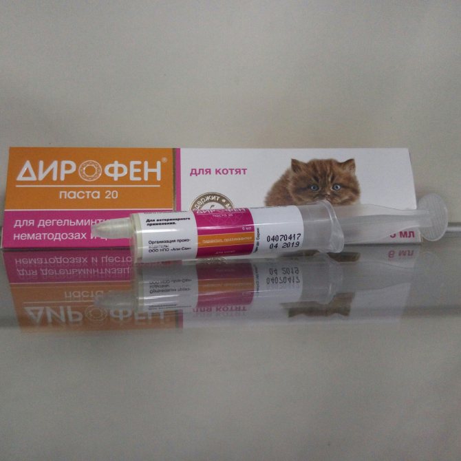 Таблетки Дирофен от глистов для кошек
