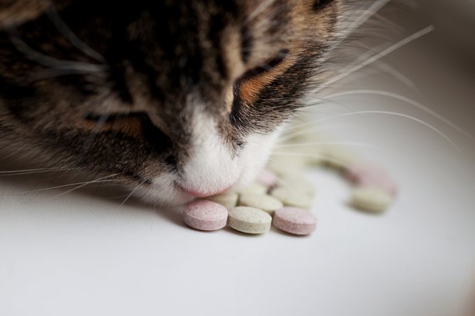 Таблетки для кота