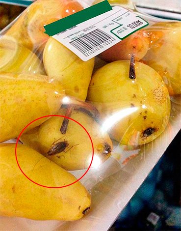 Таракан на фруктах в супермаркете