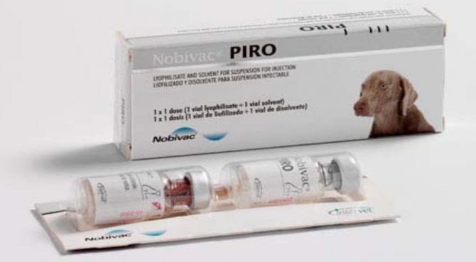 Вакцина от пироплазмоза для собак Нобивак Пиро