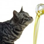 Вазелиновое масло для кошек при запоре