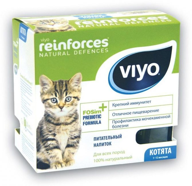 VIYO Cat Kitten в качестве аналога фортифлоры