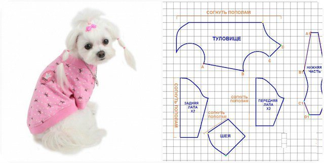 Выкройки одежды для маленьких пород собак, какая одежда нужна, как сделать, какую ткань выбрать, как сшить.
