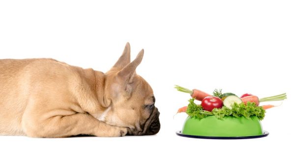 запрещенные к потреблению собакой овощей